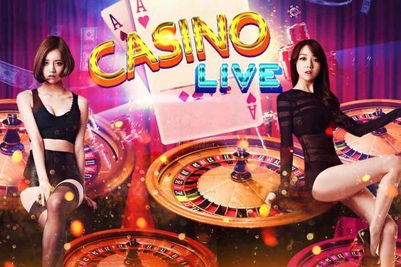 Jungle Casino پاکستان ریئل منی گیمز